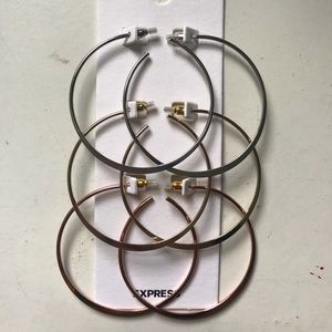 Express Hoop Earrings